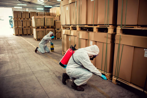 Best Bed Bug Extermination  in Harper, KS