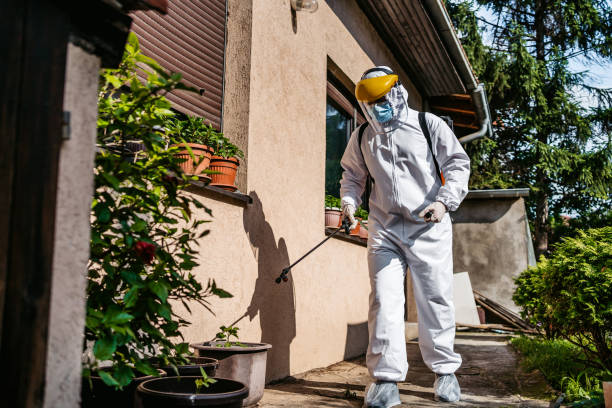Best Pest Inspection Near Me  in Harper, KS