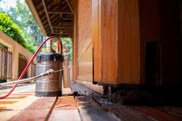 Best Termite Control Services  in Harper, KS