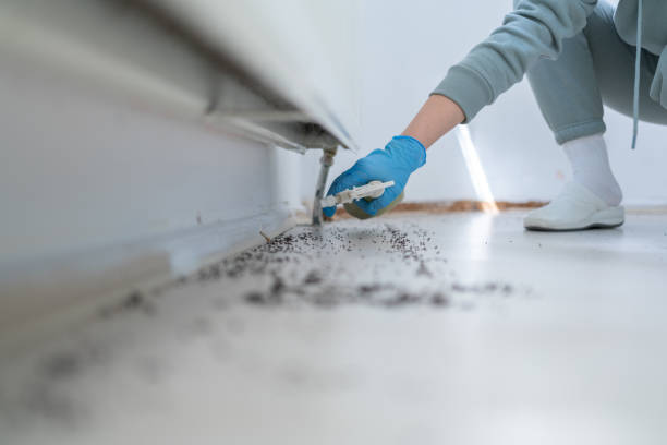 Reliable Harper, KS Pest Control Solutions